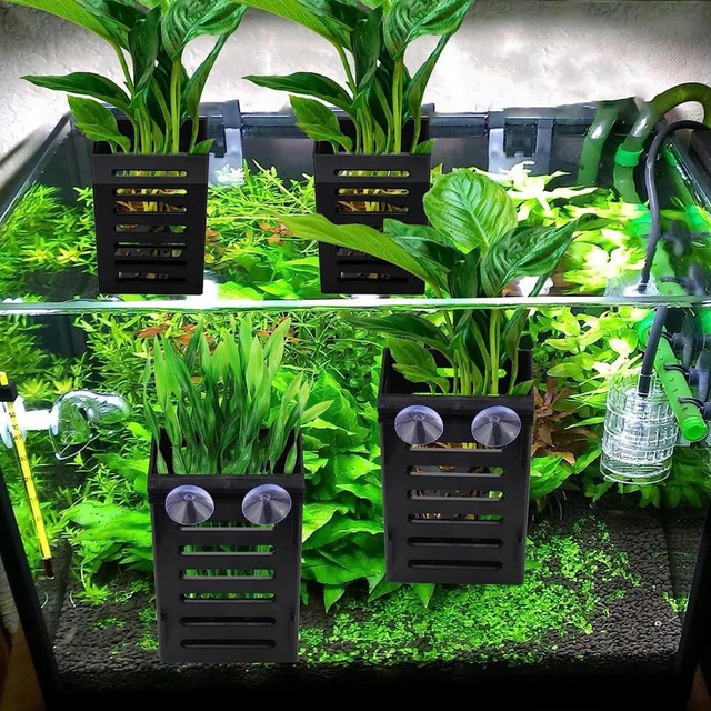 Caja hidropónica para pecera, maceta con ventosas, soporte para plantas de  acuario con ganchos, potenciador de ventosas para peces - AliExpress