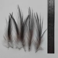 50Pcs Natural Colour Heron Feathers 4-8" 10-20cm 5