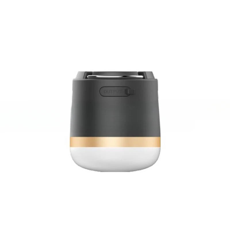 

EcoFlow Multifunctional Outdoor Smart Light Portable Super Bright Emergency Camping Tent Light Power Bank Rechargeable