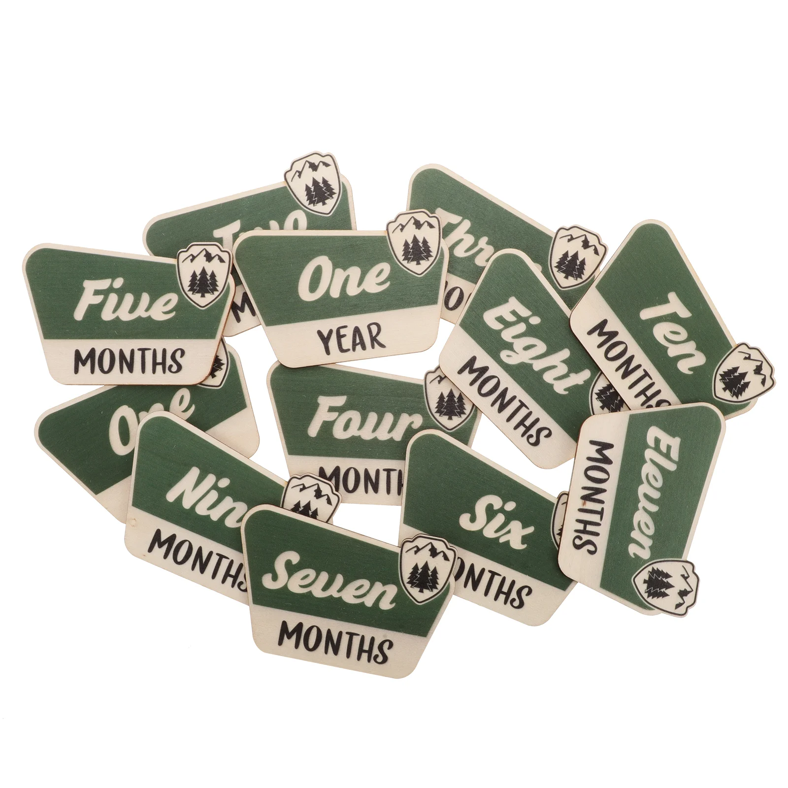 

12 Pcs Baby Months Signs Month Month Signs For