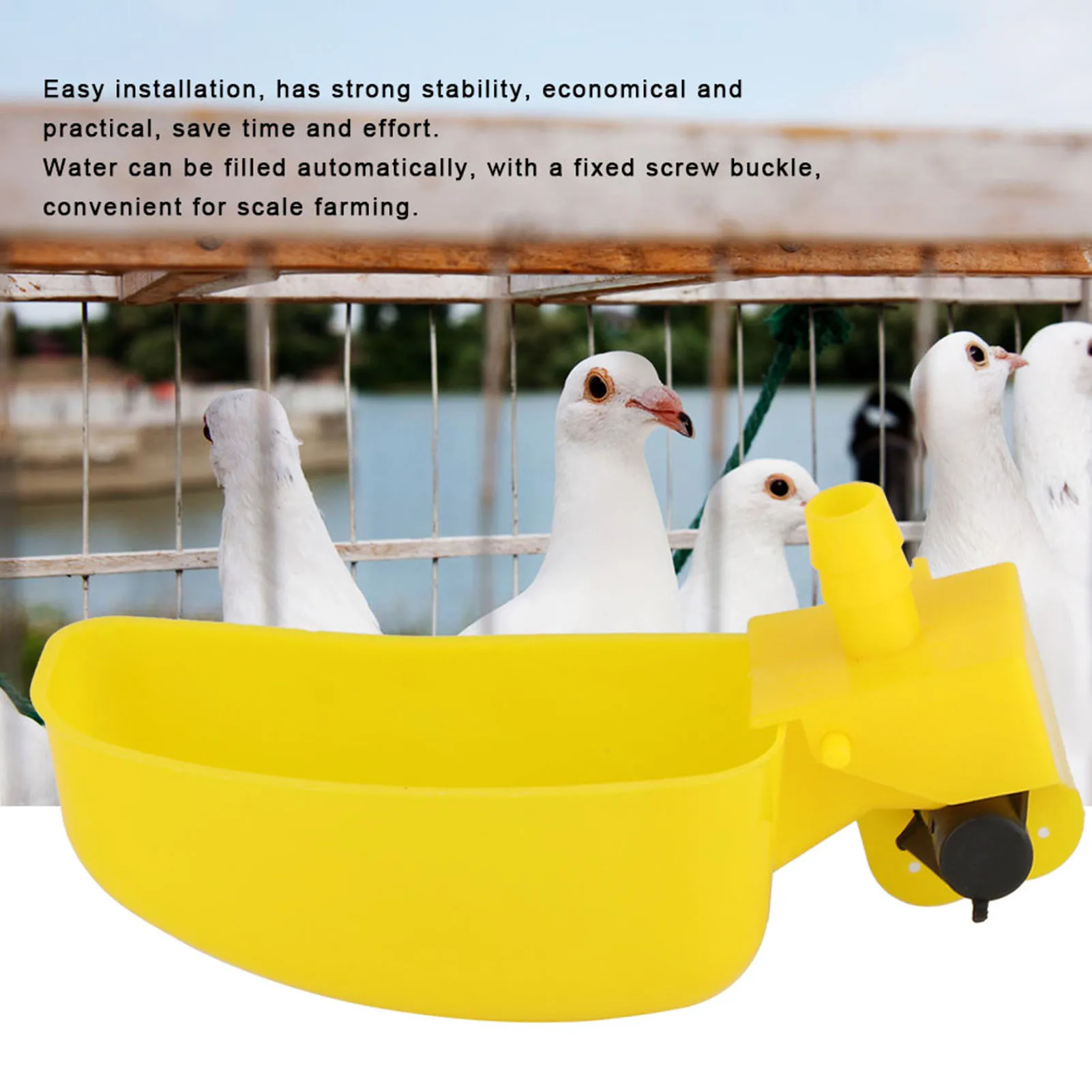 12pcs Pigeons Quail Waterer Feeder Drinking Cup Bowl Poultry Bird Watering System Farming Tools Hamster Water Feeder Pet Food Feeder