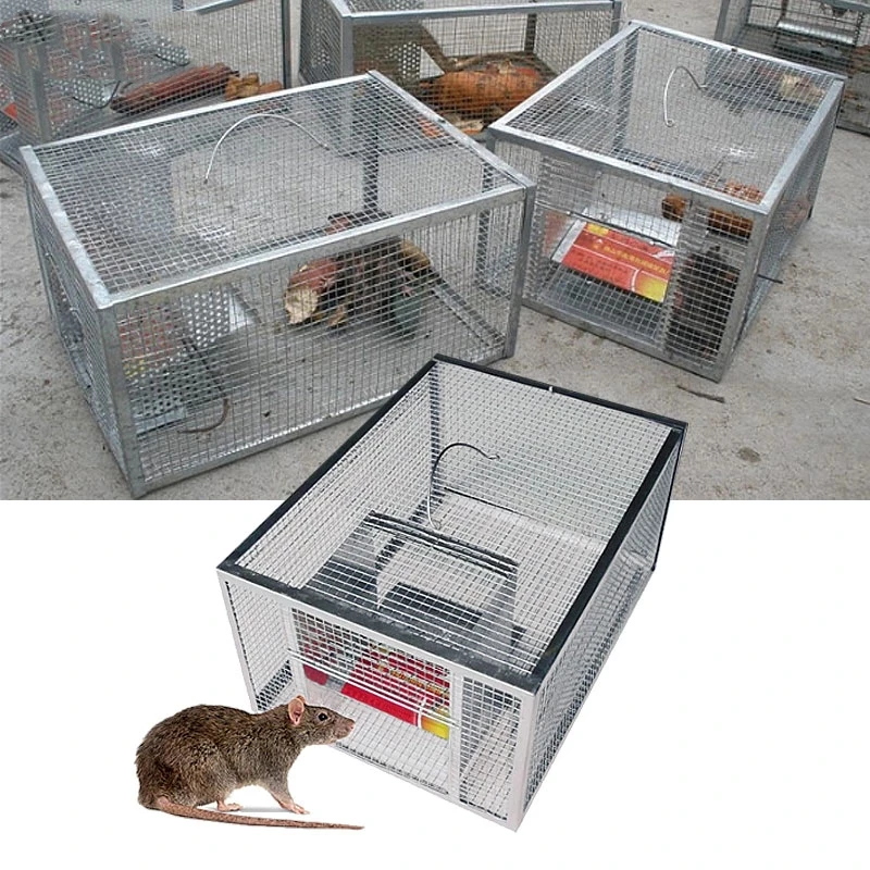 Snake Traps Automatic Rat Traps Rat Traps Continues Walmart Rat