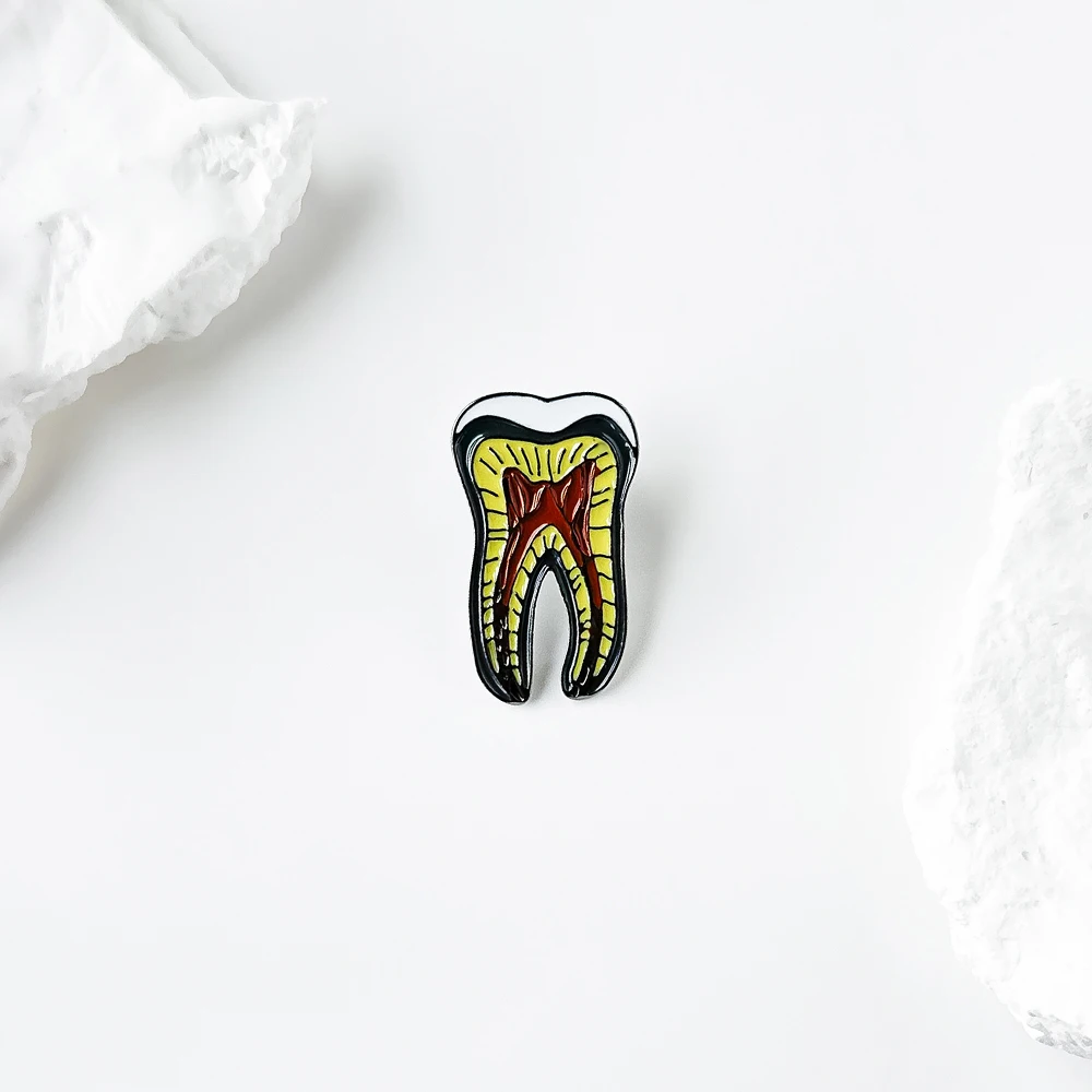 Dental Model Anatomy Lapel Badge Brooch Enamel Needle Dental Dentist Accessories Jewelry Creative Gift