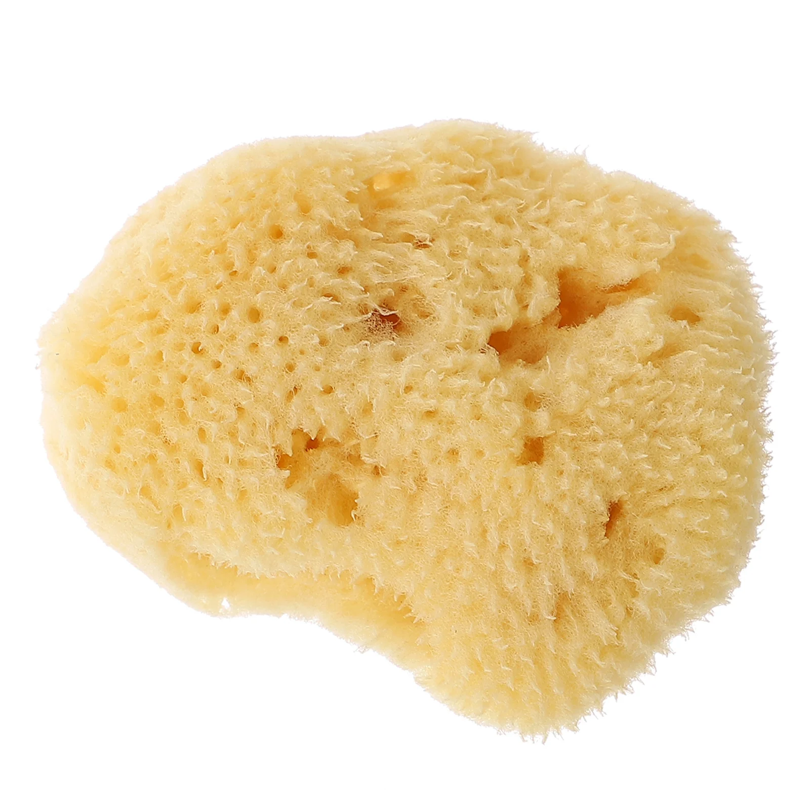 Рисунок 2 - Губка с золотым декором для рисования