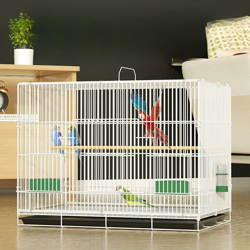 window-portable-bird-cages-parrot-decoration-outdoor-backpack-bird-cages-habitat-house-gabbia-pappagallo-bird-supplies-rr50bn