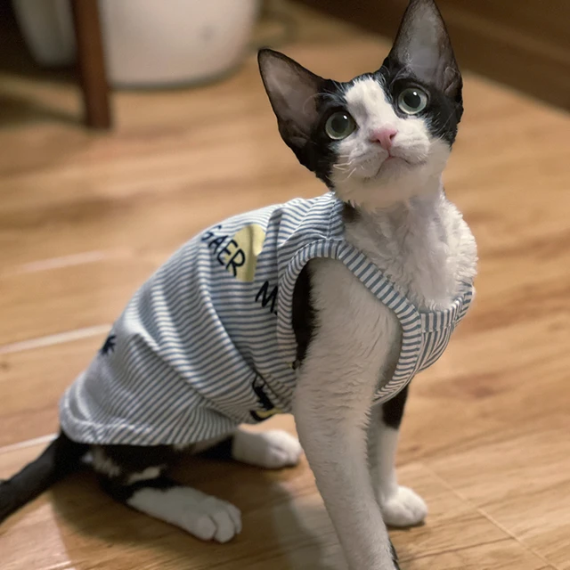 Sphynx-ropa para gato, pijama de algodón suave pelo para bebé, la moda _ - AliExpress Mobile