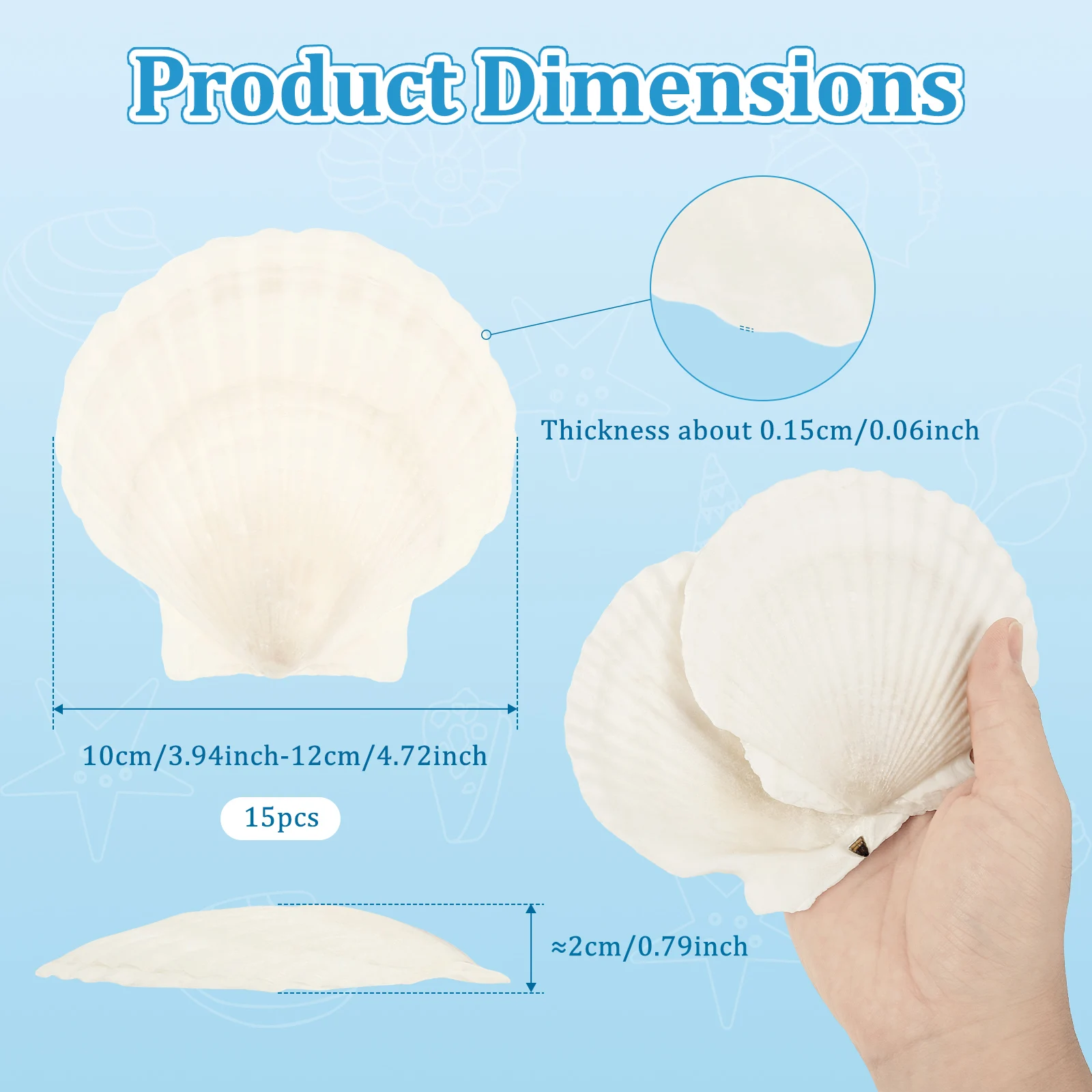 צדפות לבנות טבעיות לאמנות DIY, אפייה, קישוט חוף, חתונות, מדבקות קיר גרפיטי מצוירות ביד, קישוטים לאמנות