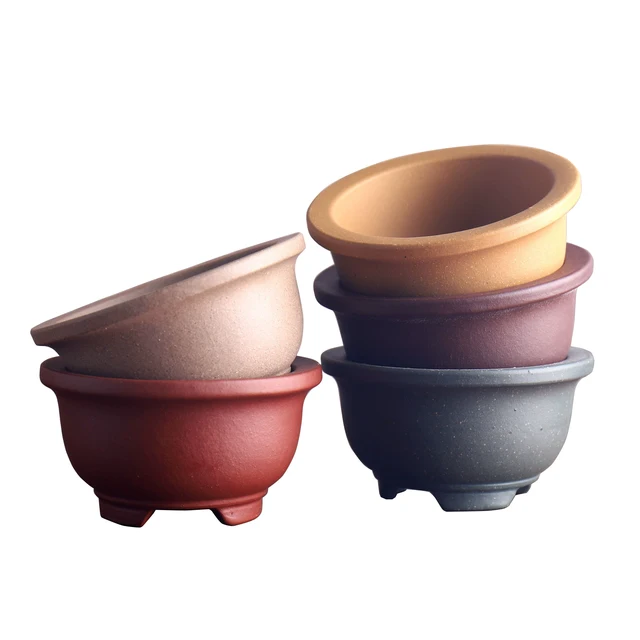 Lila Küldje El A Bonsai Pot Hagyományt Faragott Pozsgás Növények Kerti Dekoráció - Image 5