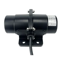 Petec Vibration Motor Brush Vibrator Motors for Salt&Sand and Concrete Mixer DC 12V 4500RPM Vibrating Force 200lbs 100lbs 2