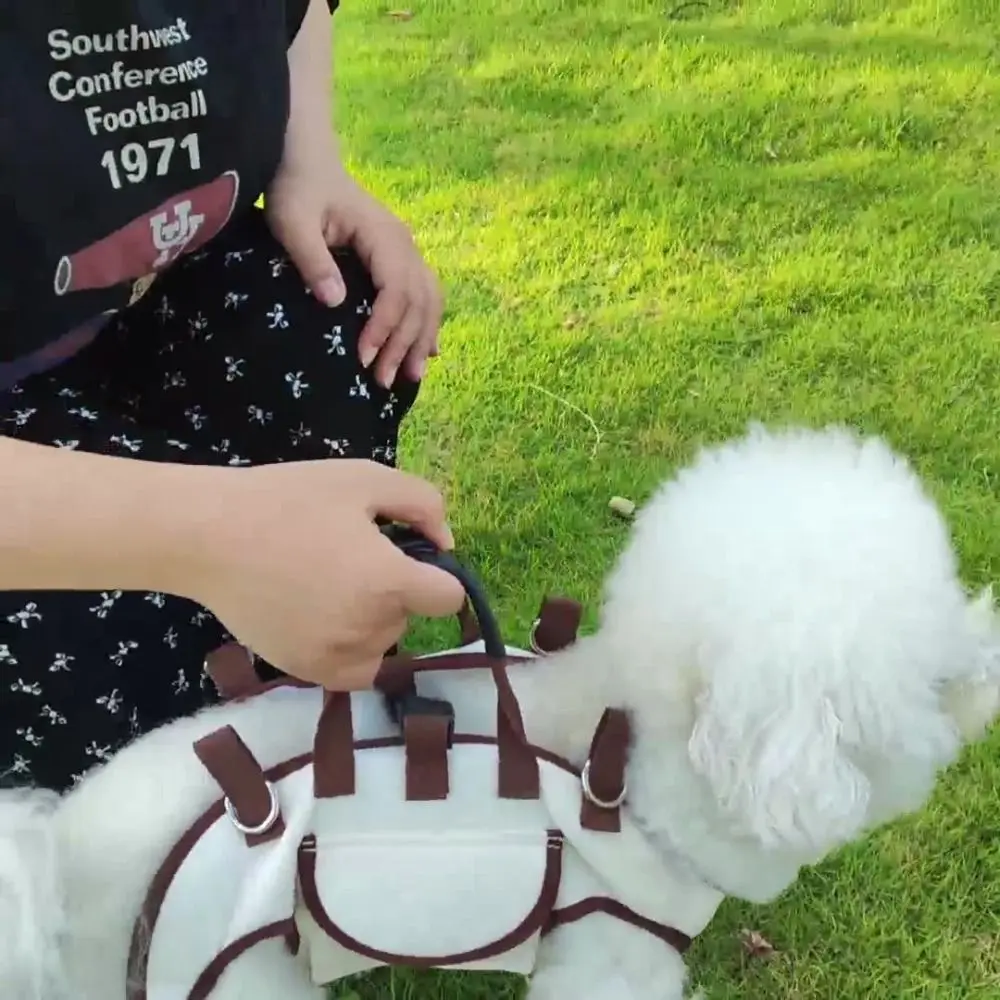 휴대용 조절 가능한 강아지 캐리어 백팩 부드럽고 통기성 있는 강아지 외출 가방 리드줄 포함 노동 절약형 애완동물 여행 백팩 야외용
