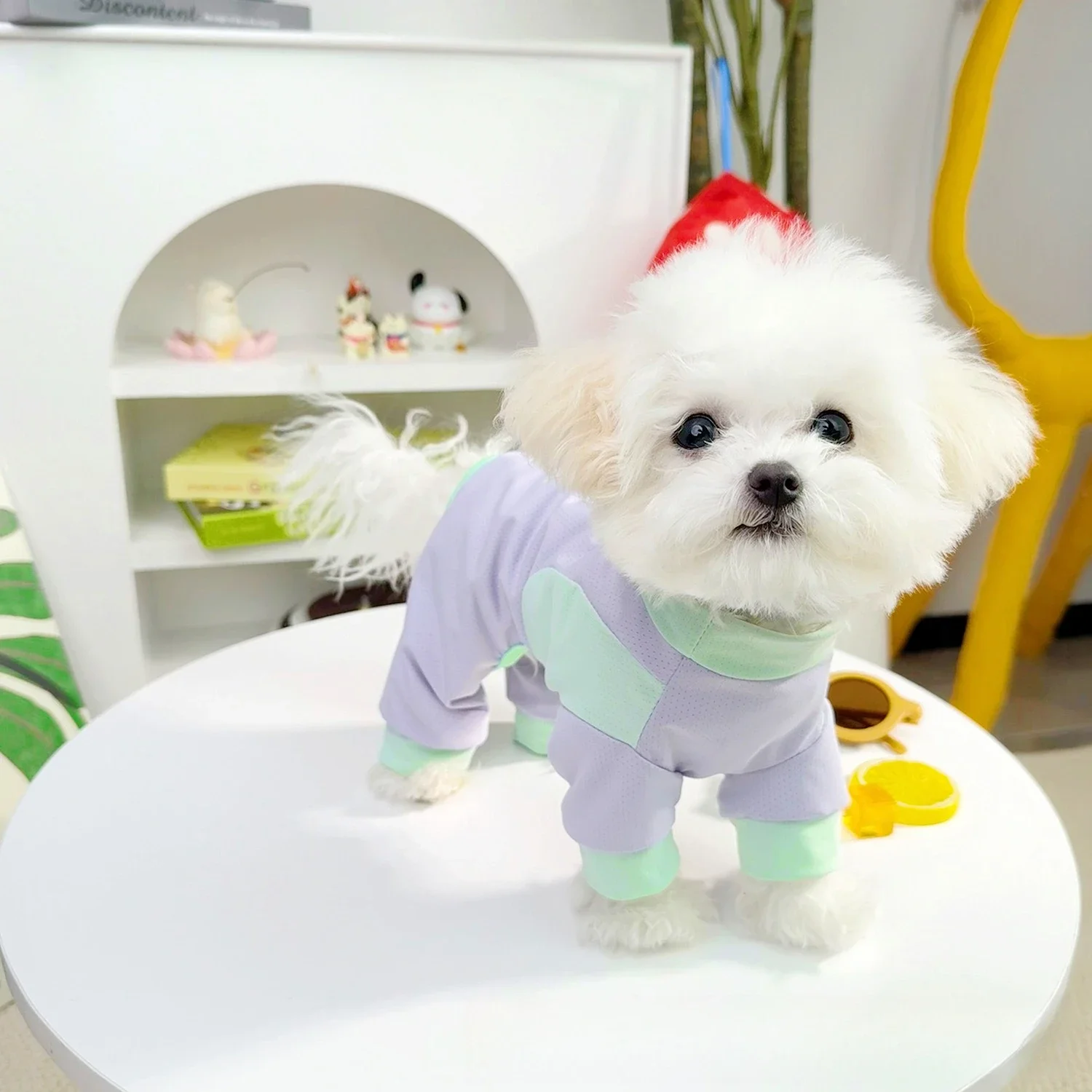 3피스 여름 애완동물 아이스 실크 쿨링 점프수트, 통기성 속건 메쉬, 소형견용 ..
