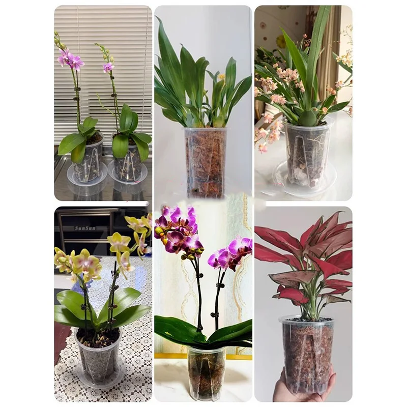 RePotme Vaso Per Orchidee, 20,3 Cm, Con Fori Per Orchidee, Confezione Da 3 (cristallo
