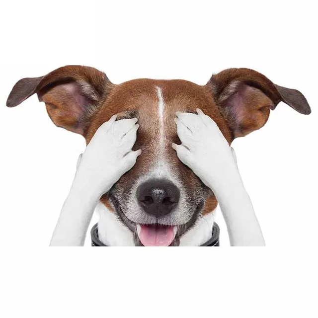 

Terrier наклейка с милой собакой 18 см модель1