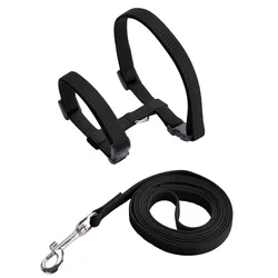Adjustable Cozy Nylon Pet Collar and Leash Set for Cats and Small Animals (Black)