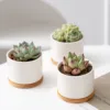 Ceramic Planter Pot with Bamboo Tray Succulent Plant Round Desktop Pot Small Bonsai Pots Green Planters Creative Flowerpots 2