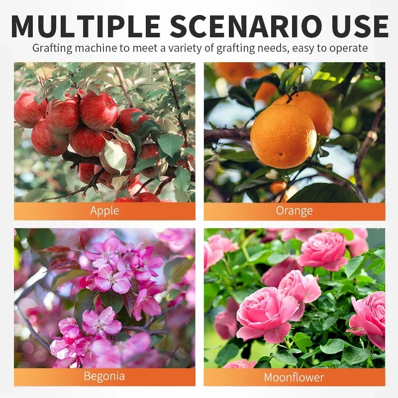 정원 도구 과일 나무 예방 접종 가위, 전정 기계, 정원 도구 가위, 전정 가위