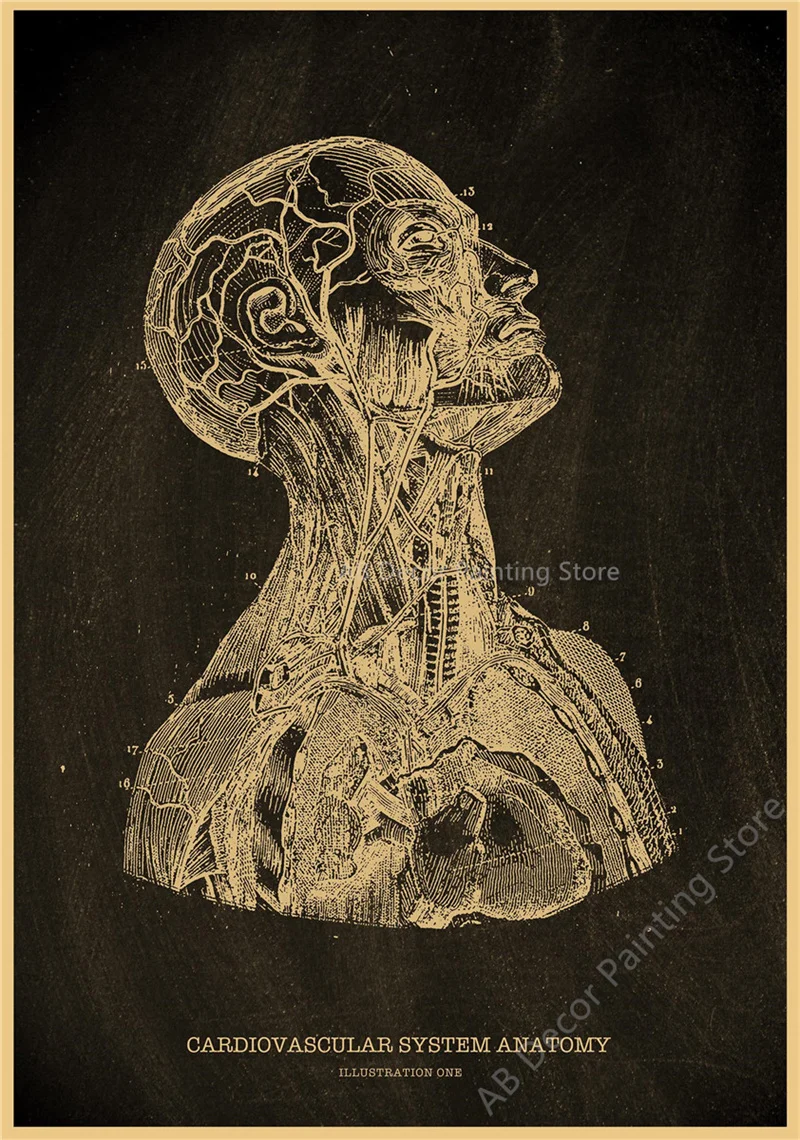 Nostalgic Posters Anatomy Chalkboard Poster Prints Body Parts Heart Hand Foot Drawing Vintage Home Room Art Wall Decor Painting Peckshirt