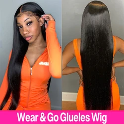 Brazilian Straight Glueless Wig Human Hair Easy Wear and Go Wig Ready to Wear 4x4 HD Lace Closure Preplucked Human Wig Pre Cut