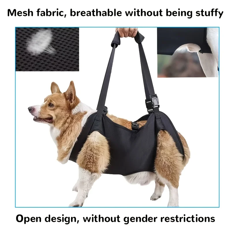 Dog Support Lift 5