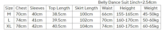 Bauchtanz-Performance-Kleidung, Anzug für Damen, Bauchtanz, halbe Ärmel, Oberteil + Netz, langer Rock, 2-teilig, orientalisches professionelles Set – Detail 1