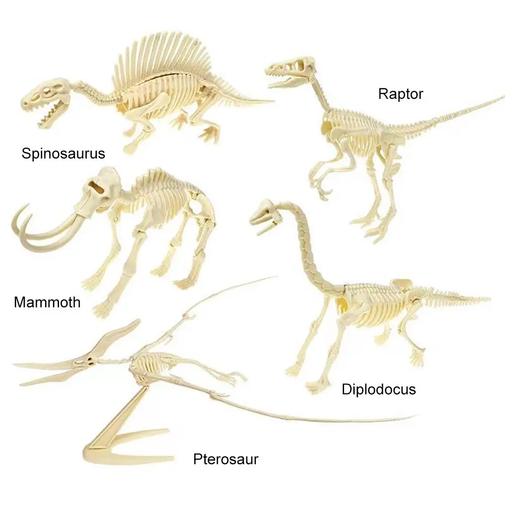 Dinosaur Fossil Skeleton Action Figure Collection - Creative DIY Assembly Toy