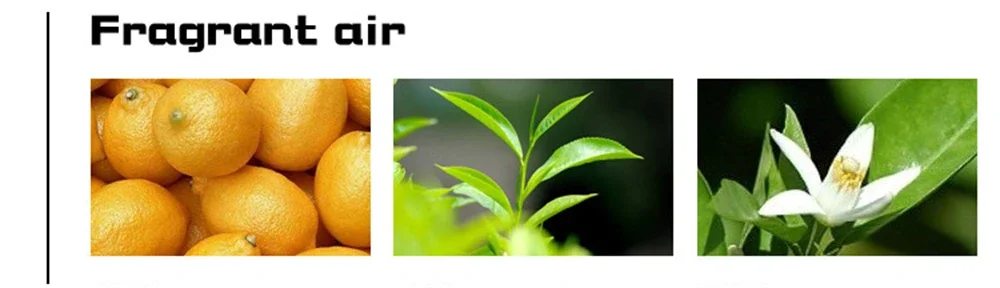 Passionate Gentleman Eau De Parfum For Men Long-lasting Scent_voghion.com