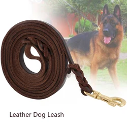 Braided Genuine Leather Dog Leash - Brown, Long & Durable for Medium to Large Breeds (1.6m)
