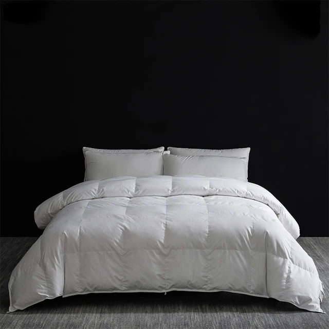 Couette Summer Breeze Silk : soie pure tirée à la main, coton haute densité - Idéal pour les climatiques chaudes 2