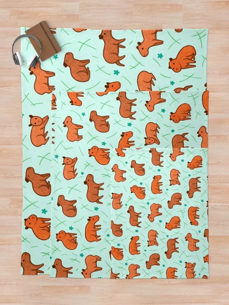 Capybara ���� ������ ���, �ε巯�� �ڽ����� �ִϸ��̼� ���