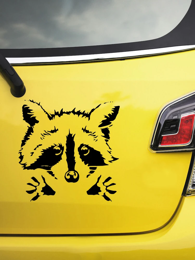 Рисунок 3 - Raccoon Face Peeking Car Truck