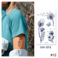 Image 17