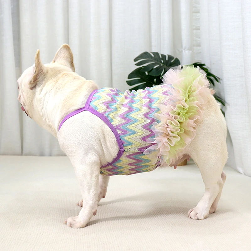 NINI MUSTARD DOG SHORT SET main image 1
