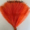 Style 1 Orange