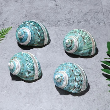 대형 바다 달팽이 소라, 자연 쉘 흰색 줄무늬 녹색 샐러드, 달팽이 표본, 달팽이 수집 선물, 홈 데코, 1 개, 8-10cm