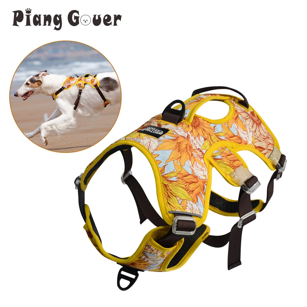 Piece De Harnais Mots Fleches Harnais réglable imprimé tournesol pour animaux de compagnie,  réfléchissant, Anti-rupture, pour chien moyen et grand gabarit, marche en  plein air, fournitures pour animaux de compagnie - AliExpress