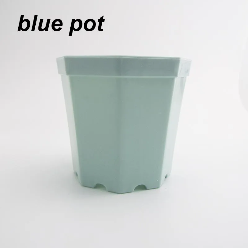 blue pot