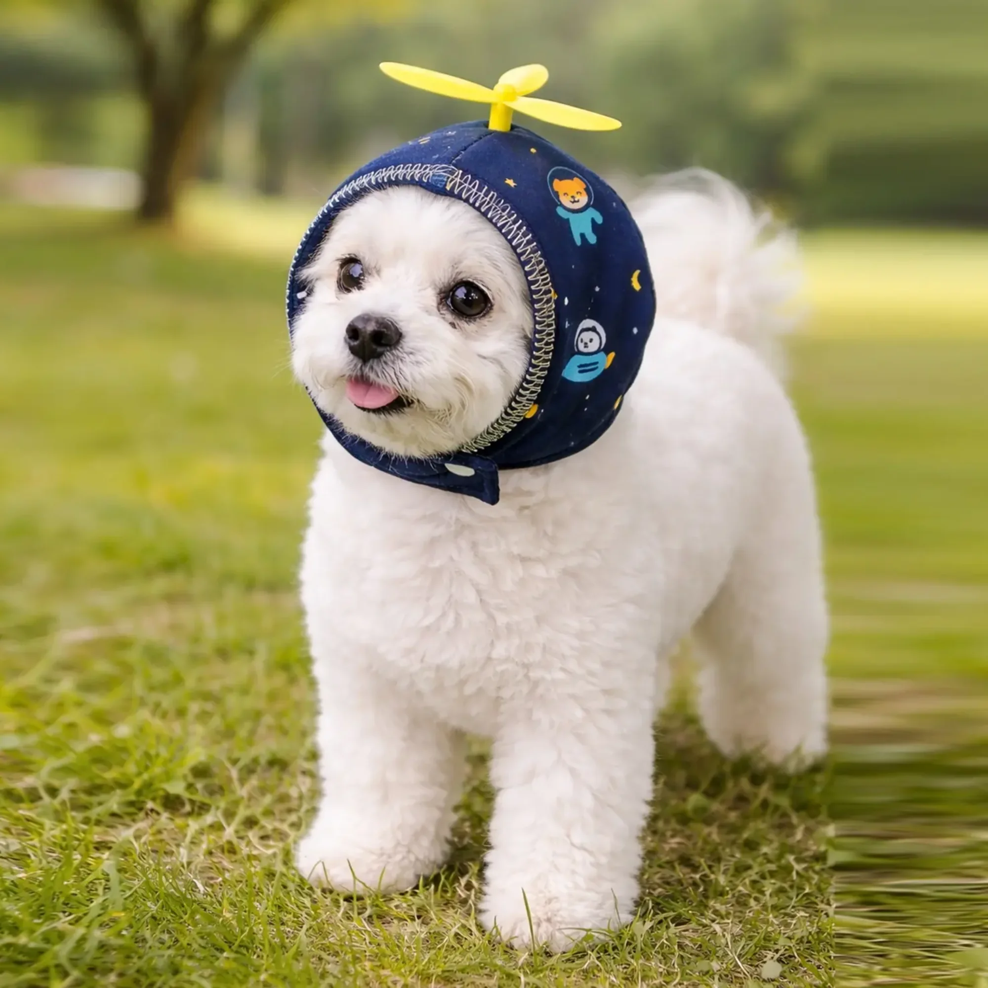 강아지 머리덮개 중소형견 야외용 파일럿 모자 애완견 귀마개 봄 가을 보온성 좋고 착용하기 쉬움