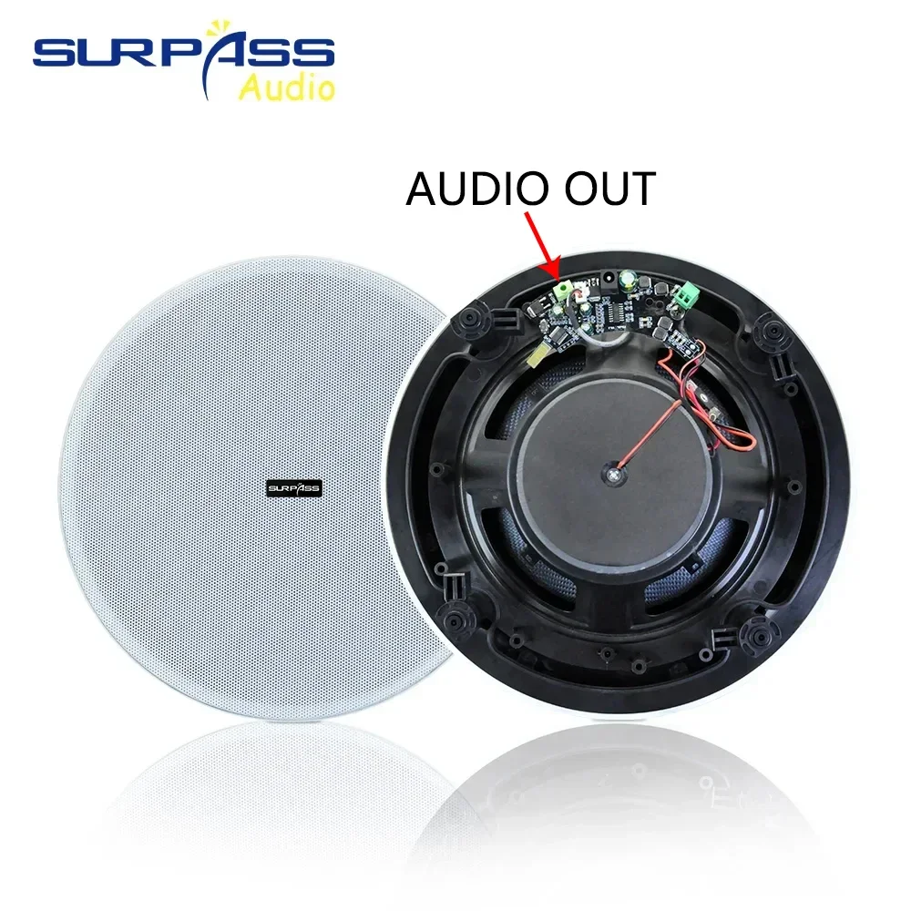 50 واط 8 ''سقف سمّاعات بلوتوث المدمج في الفئة D مك...