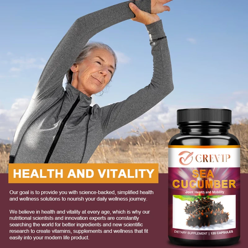 Sea Cucumber Natural Supplement Promotes Joint Health Cartilage Protection
