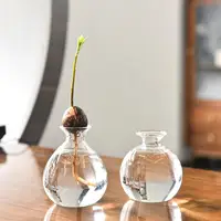 Avocado Seed Starters Vase Transparent Glass Vase Avocado Seed Starters Vase Seed Growing Kit For Gardening Lovers Home Decor 1