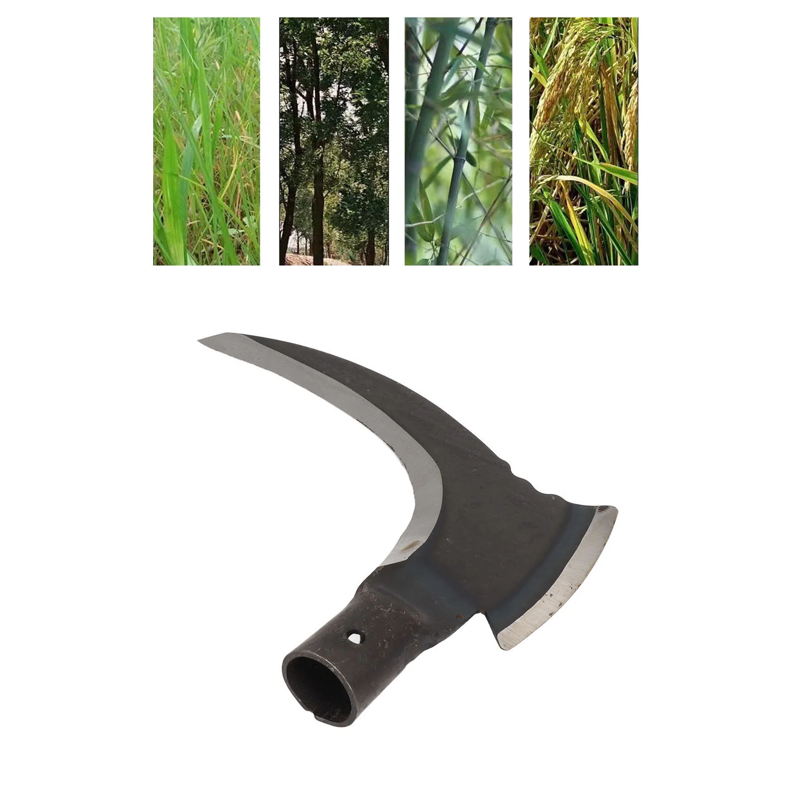 Slide image af405c373cee428ba5ff3788828c4de7