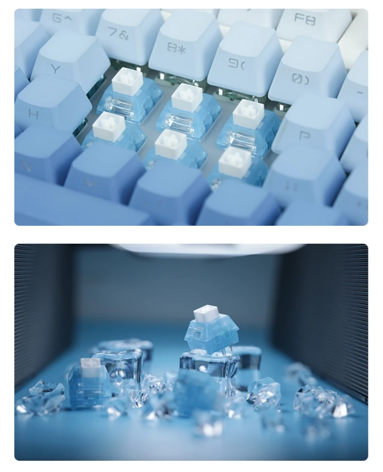 teclados e mouses