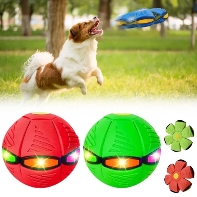 Pelota voladora frisbee flexible con luces flat ball disc