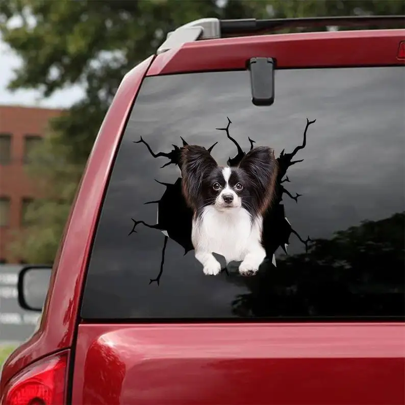 Papillon Decal - Fits Cars, Windows, Laptops And Any Smooth Surface, Papillon Stickers, Pet Stickers, Custom Papillon Stickers,