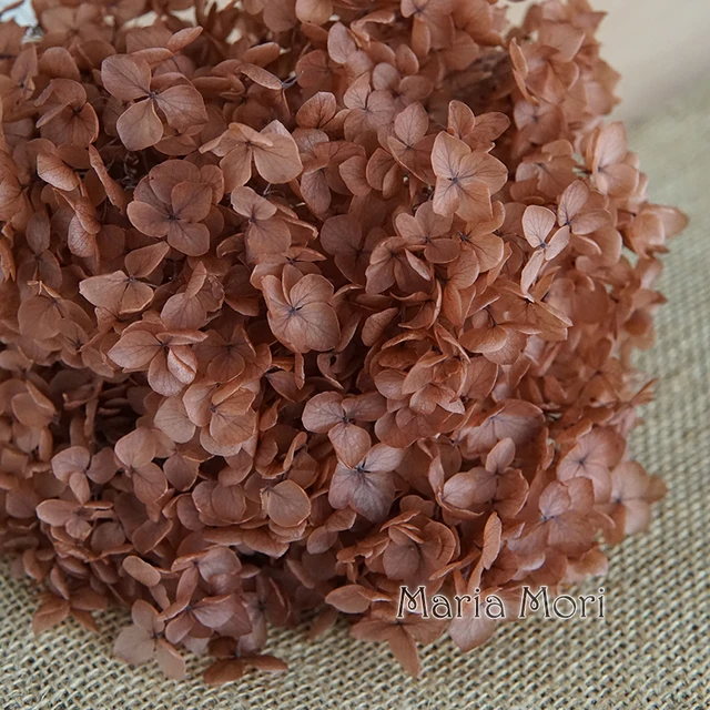 Anna Hydrangea  Flowers  Little  Leaves Preserved Hydrangea Decor  Office Decor  DIY Flowers Color 94