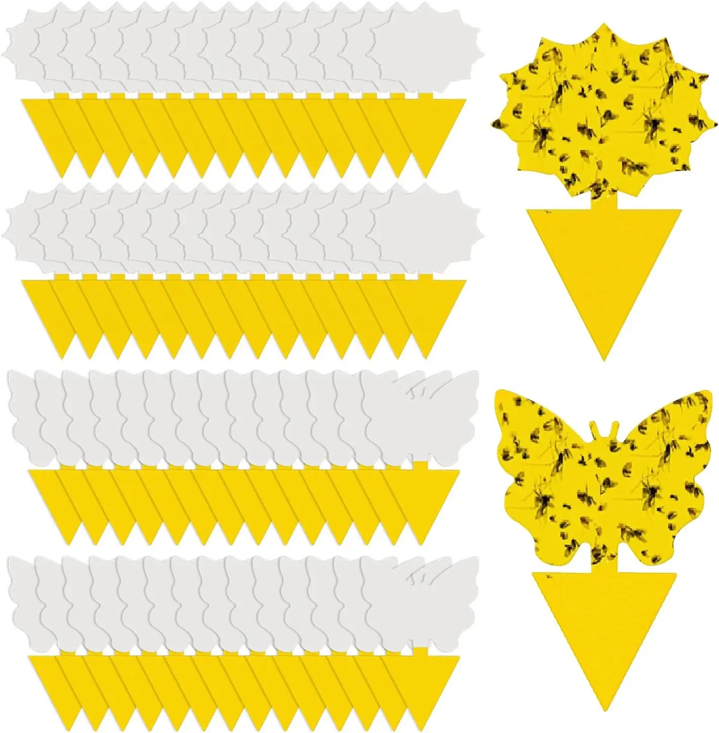 Universal Non-Toxic Flying Insect Traps - Indoor & Outdoor, Kid & Pet Safe, Economical Pack