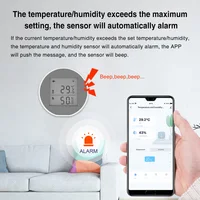 Tuya WIFI Temperature Humidity Sensor Indoor Hygrometer Thermometer Detector Smart Life App Support Alexa Google Home - Image 2
