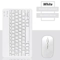 White-and mouse