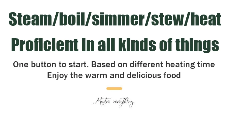 220V Electric Lunch Box Rice Cooker Portable Heating Bento Box Stainless Steel Lunch Box