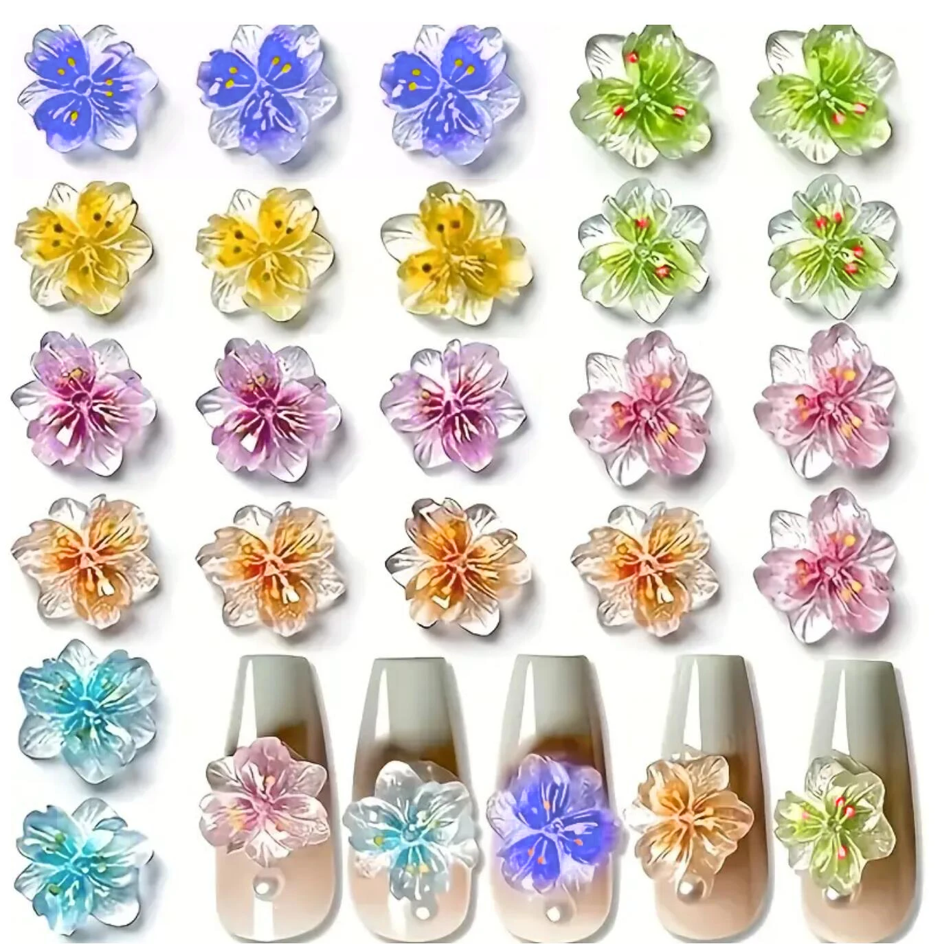 dsc-products